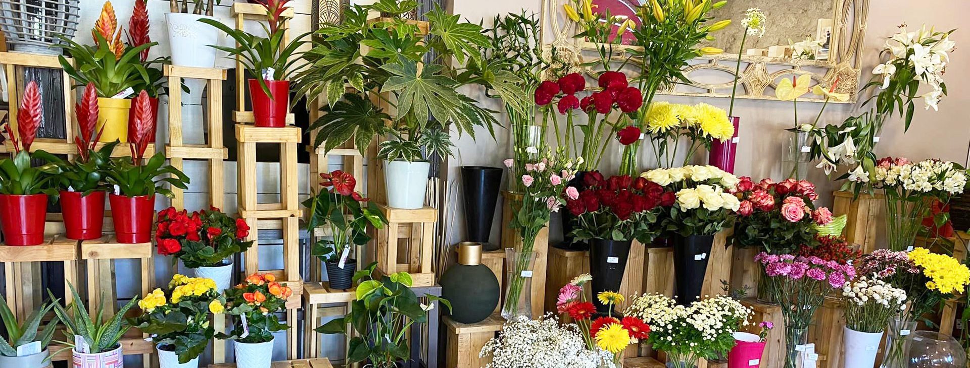 Magasin parfum d'ambiance Agen
