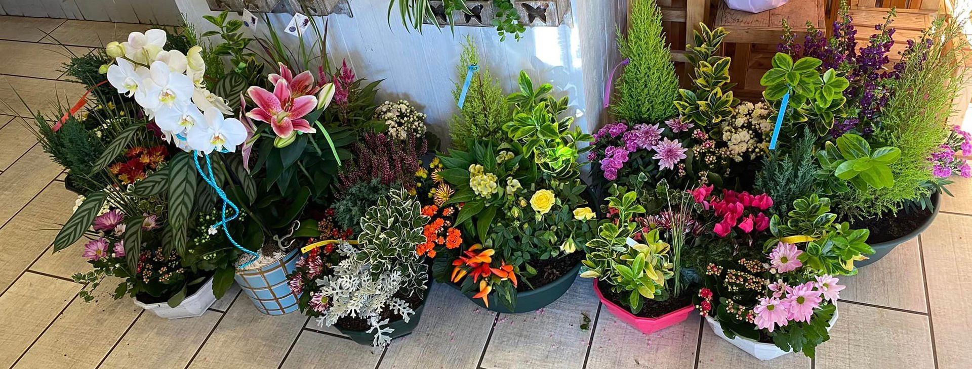 Fleuriste Villeneuve-sur-Lot
