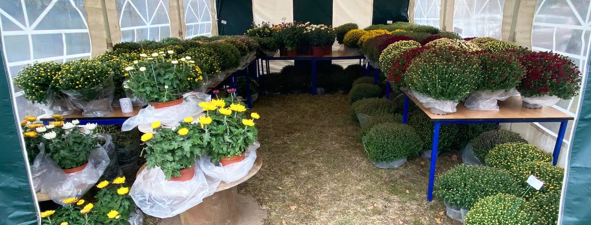 Fleuriste Agen